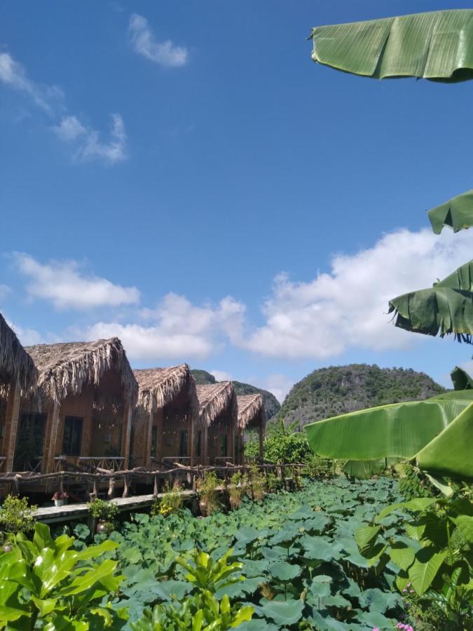 Hang Mua Lotus Homestay Ninh Binh Exterior foto